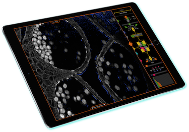 Tablet Computer with Visionary Interface