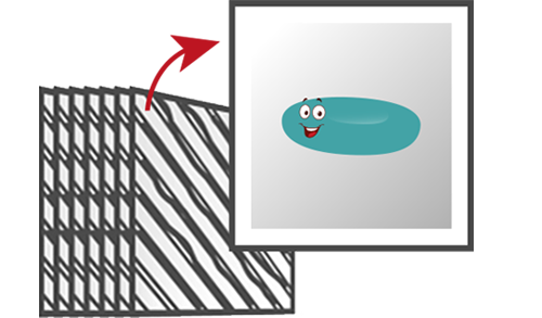 Computational Imaging