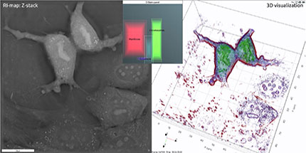 Single Cell Analysis
