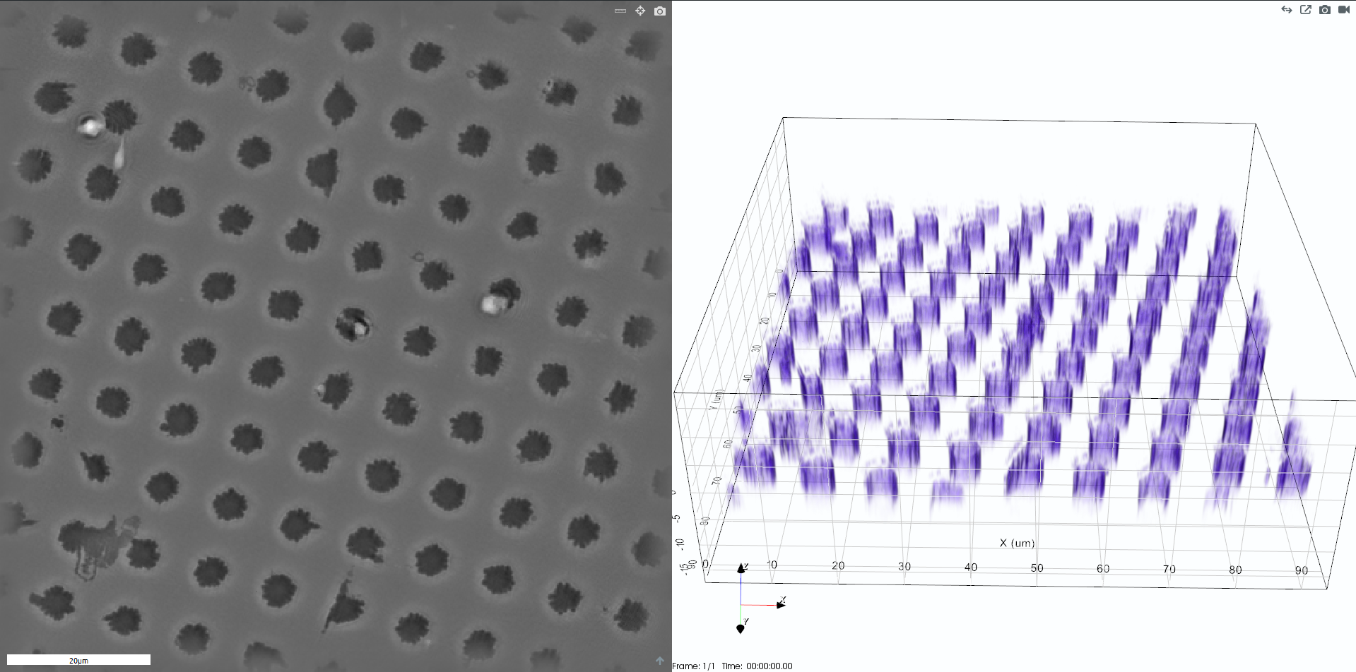 Interactions of Cells and Inorganic Materials