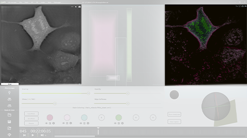 Visualization Options