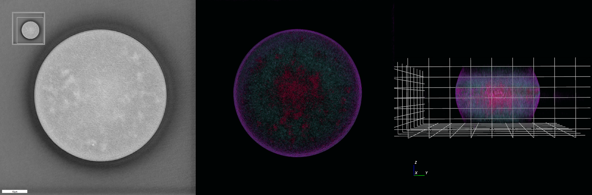 Sepharose Hydrogel Bead