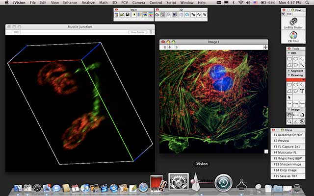 Usb microscope software download Usb microscope software download