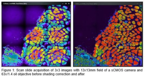 Stitched images of 3x3 slide scan, before and after shading correction