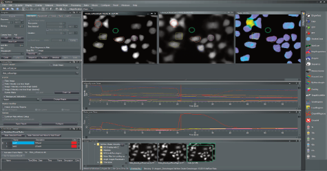 VisiView On-line Ratioing in action